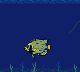 Nushi Tsuri Adventure: Kite no Bouken - Screenshot 1