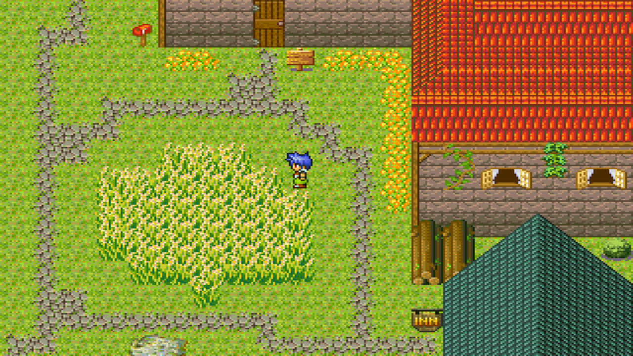 The Birthday - Screenshot 7