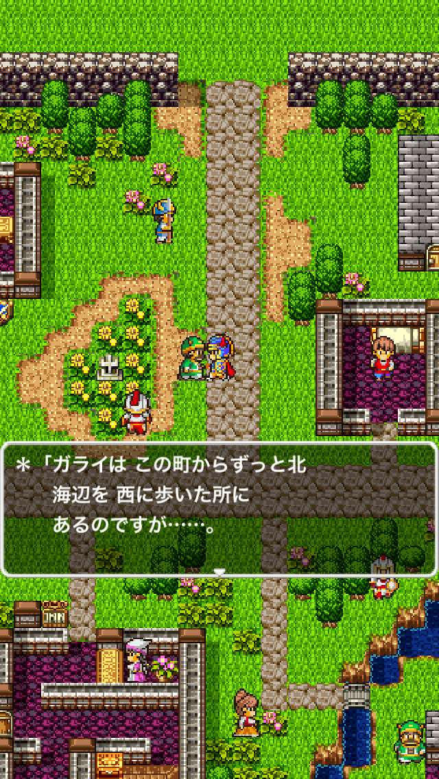 Dragon Quest - Screenshot 11