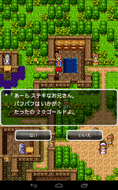 Dragon Quest - Screenshot 6