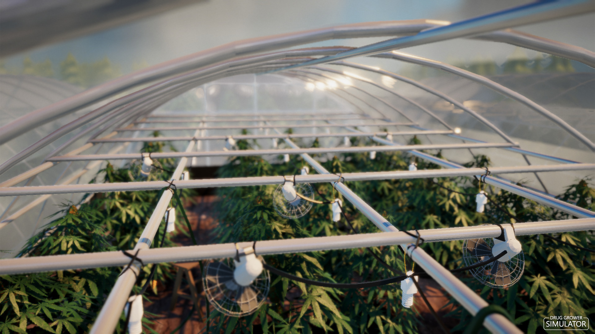 Drug Grower Simulator - Screenshot 2