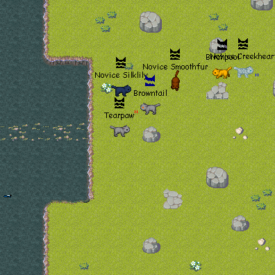 Warrior Cats: Untold Tales - Screenshot 2