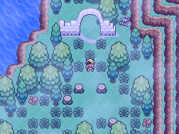 Pokémon Empyrean - Screenshot 2