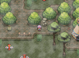 Pokémon Empyrean - Screenshot 3