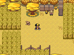 Pokémon Empyrean - Screenshot 7