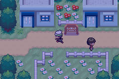 Pokémon Saiph - Screenshot 8