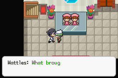 Pokémon Saiph - Screenshot 13