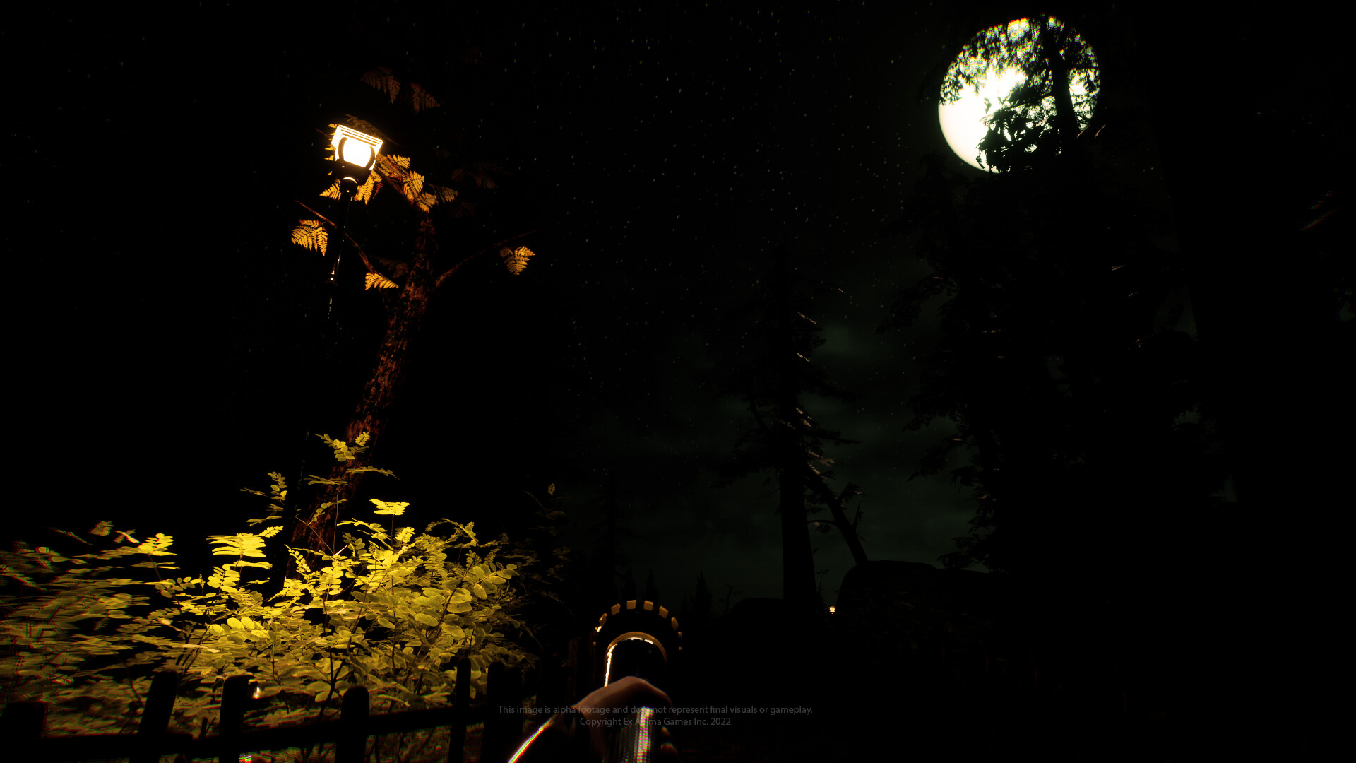 Schwarzwald - Screenshot 8