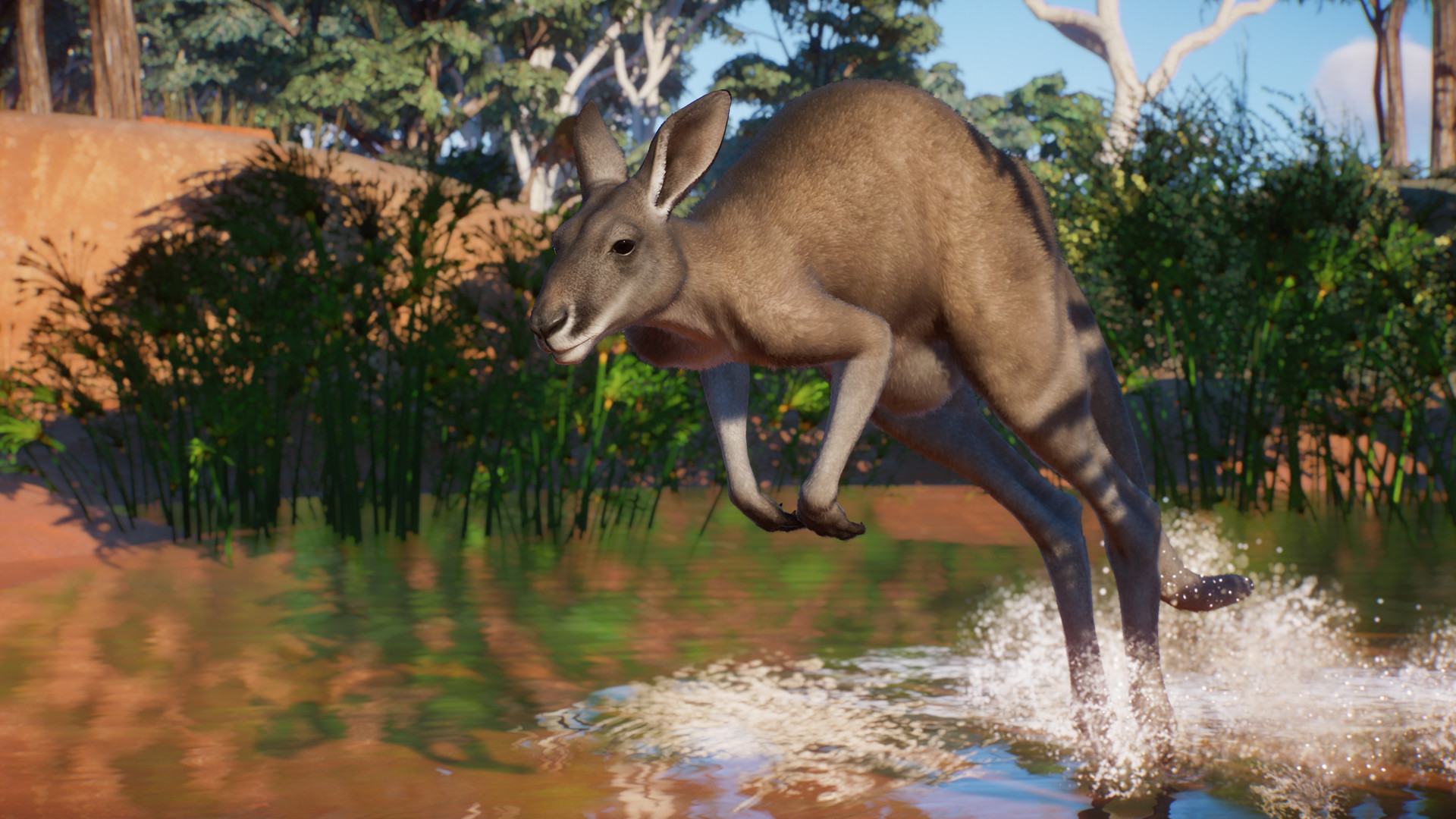 Game Background