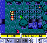 Pokémon Jade - Screenshot 1