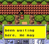 Pokémon Jade - Screenshot 2