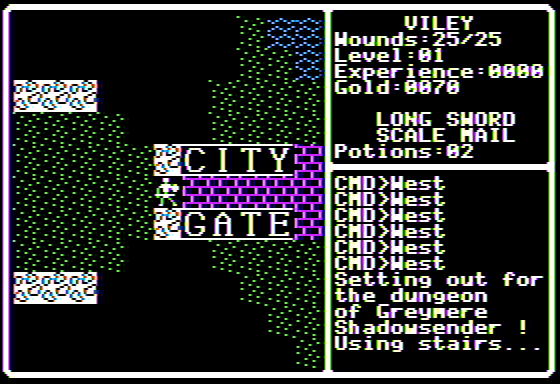 Shadowforge - Screenshot 1