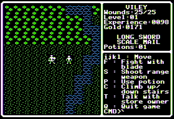 Shadowforge - Screenshot 9