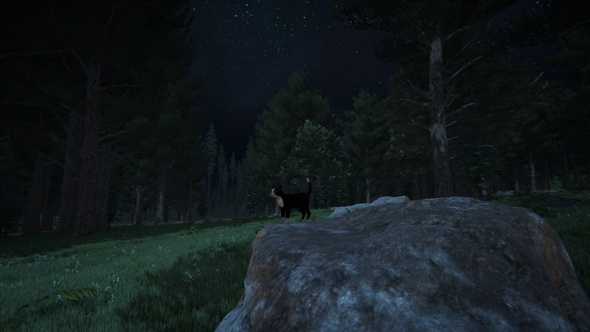 Cat Life - Screenshot 12