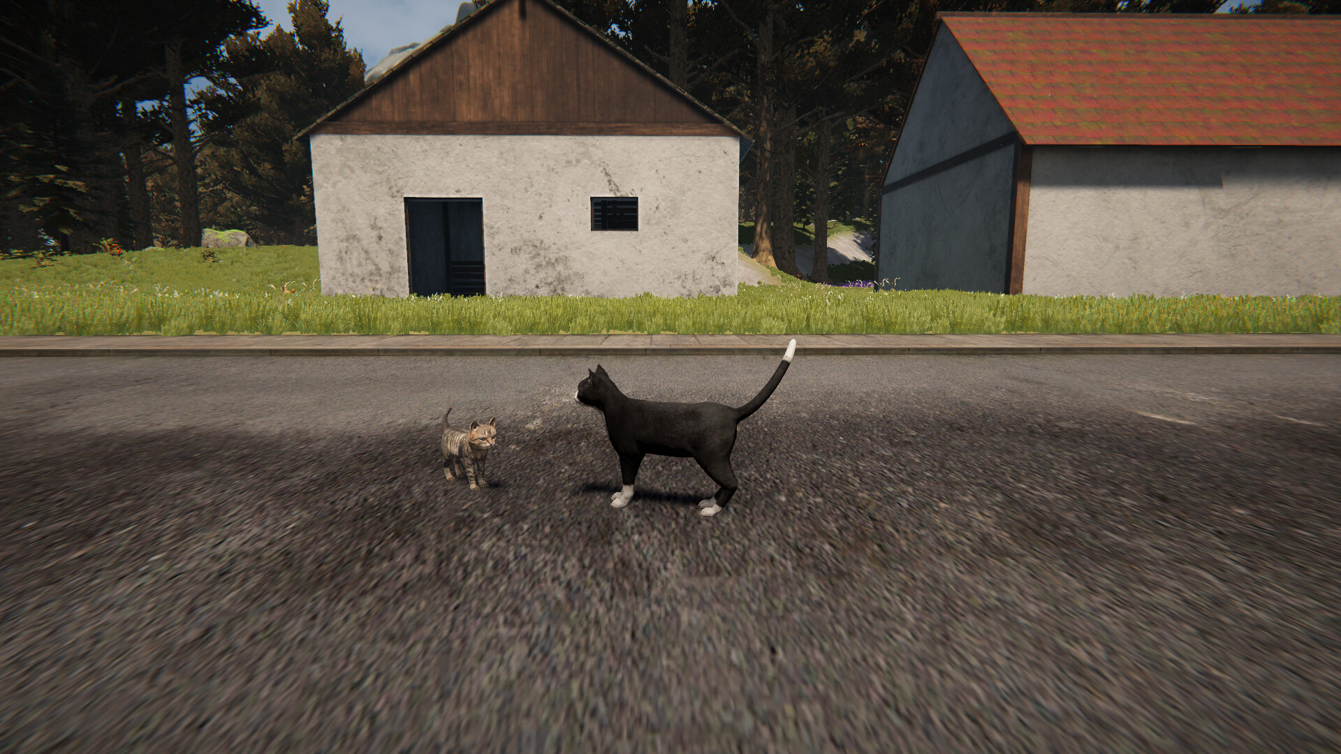 Cat Life - Screenshot 1