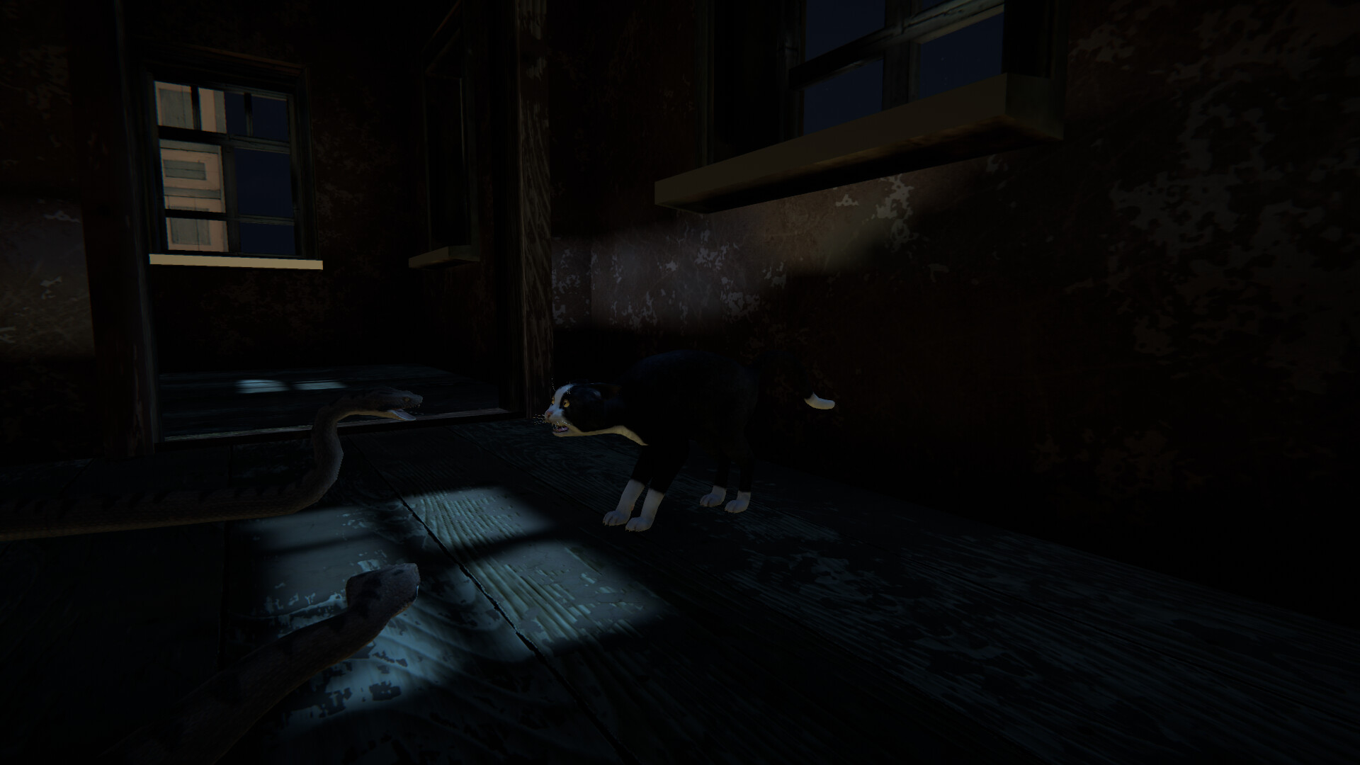 Cat Life - Screenshot 5