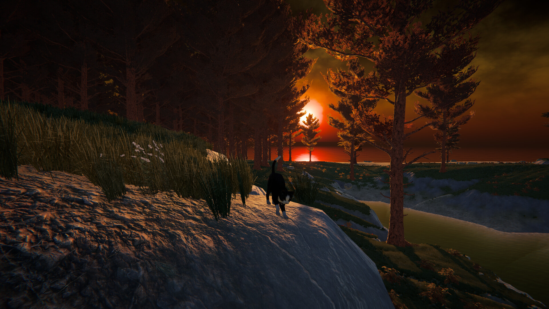 Cat Life - Screenshot 8