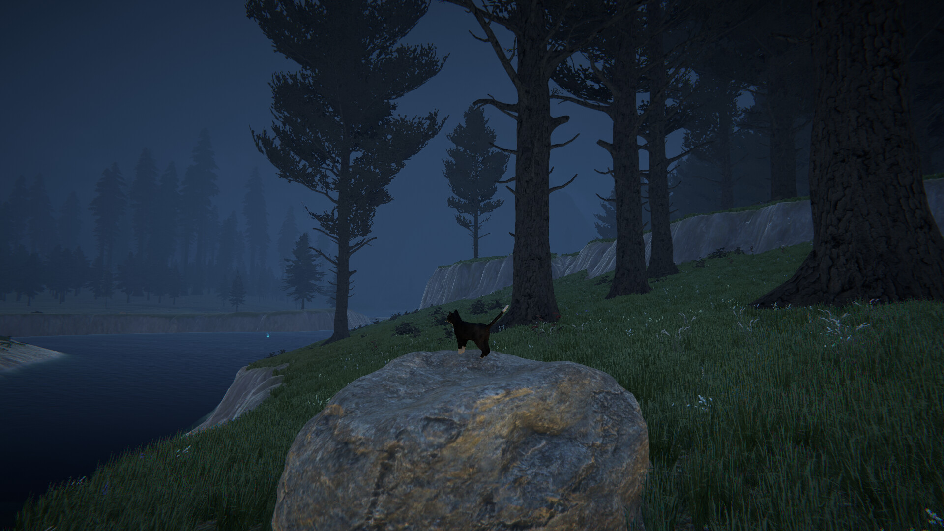 Cat Life - Screenshot 6