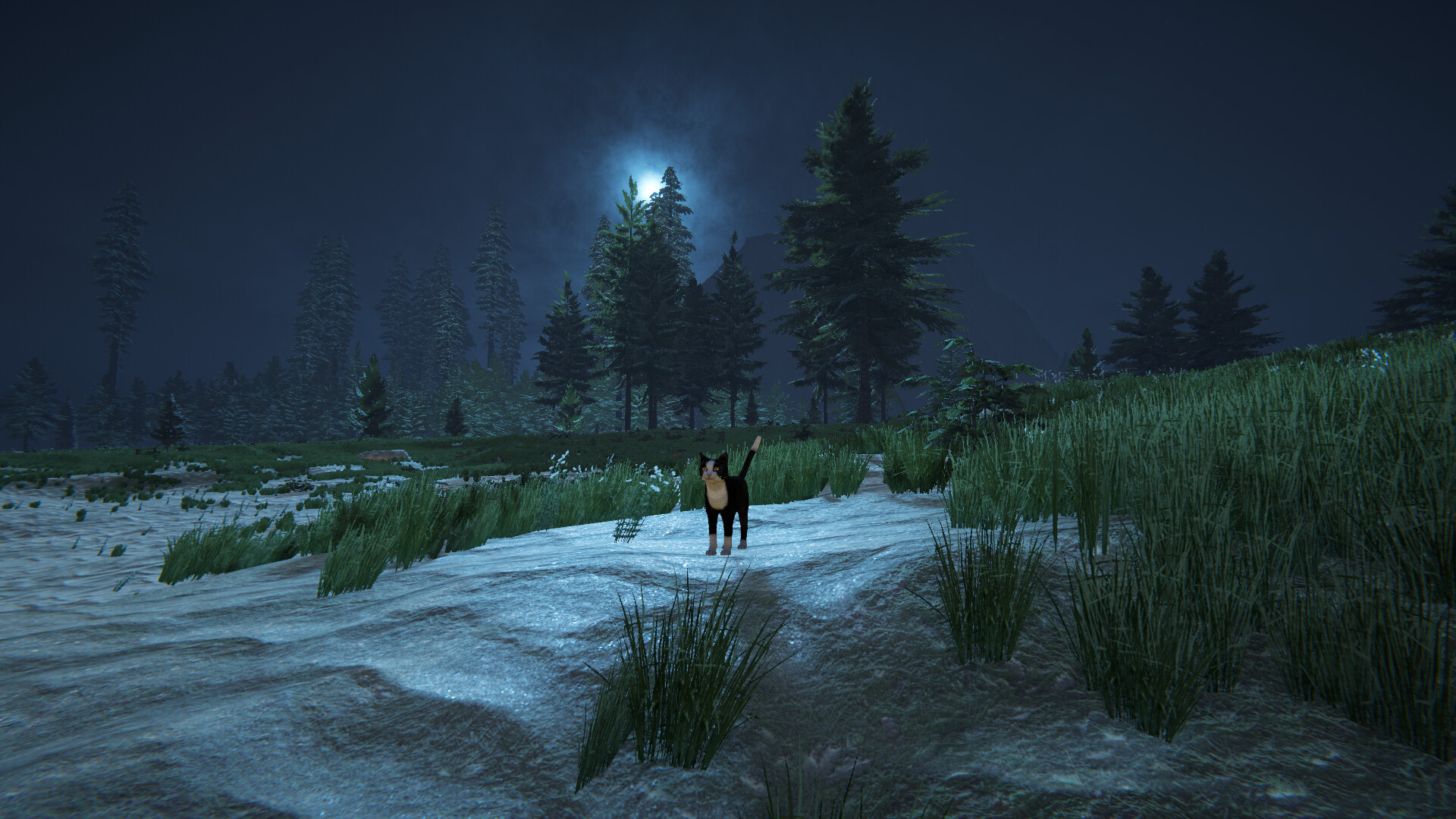 Cat Life - Screenshot 4