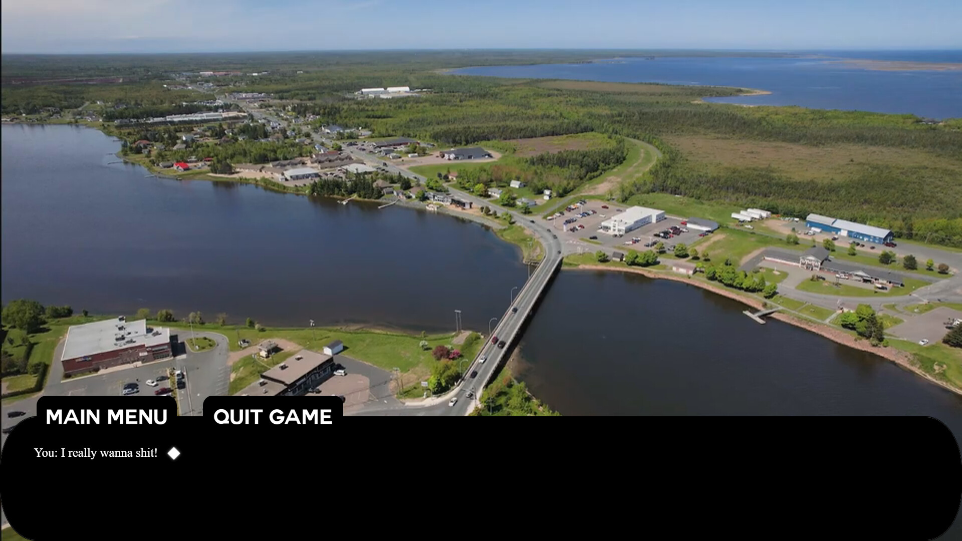 Tracadie Bird Shit - Screenshot 2