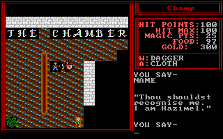 The Kingdom of Syree III: The Depths of Hell - Screenshot 9