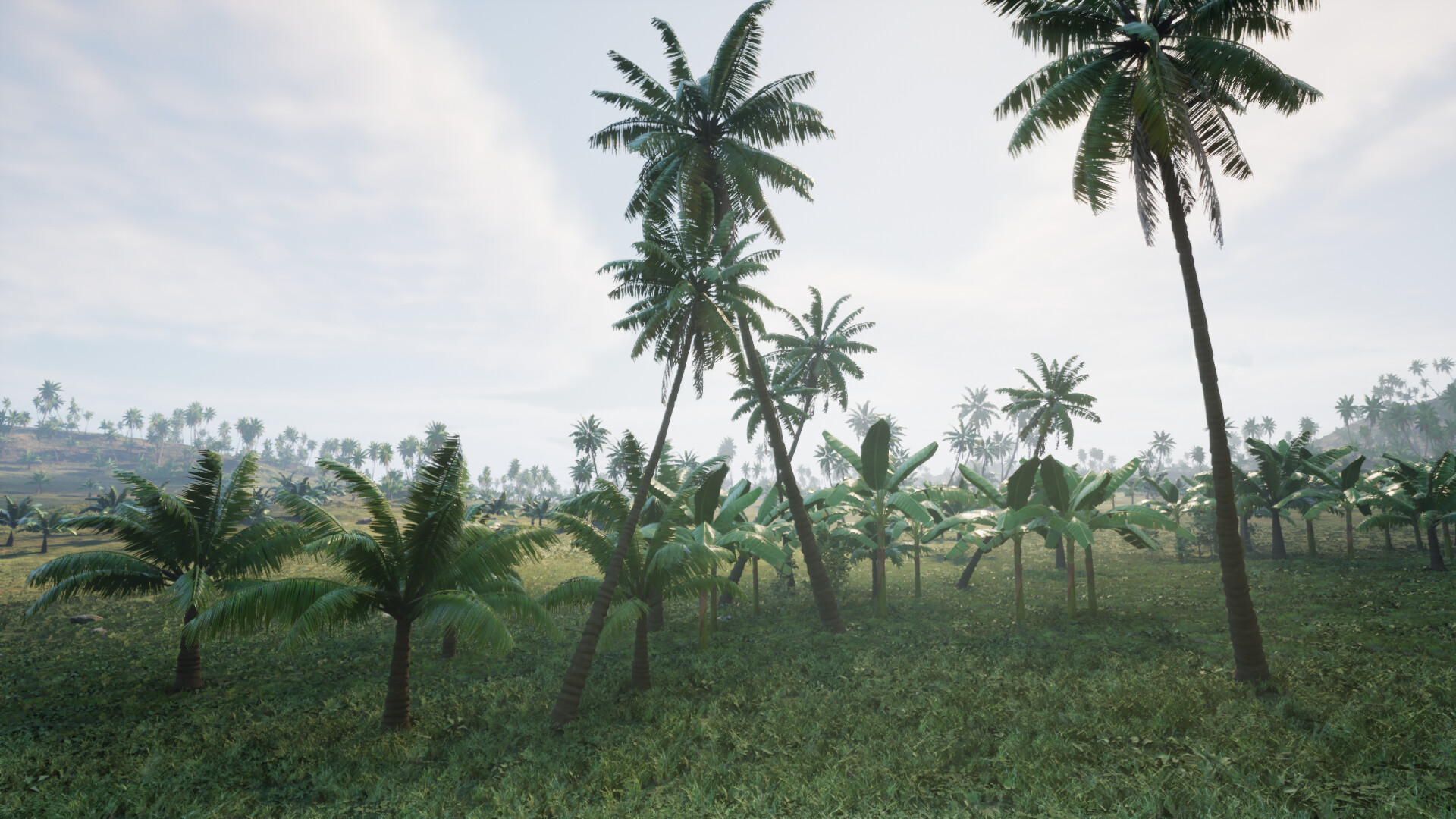 Pirates Journey - Screenshot 13