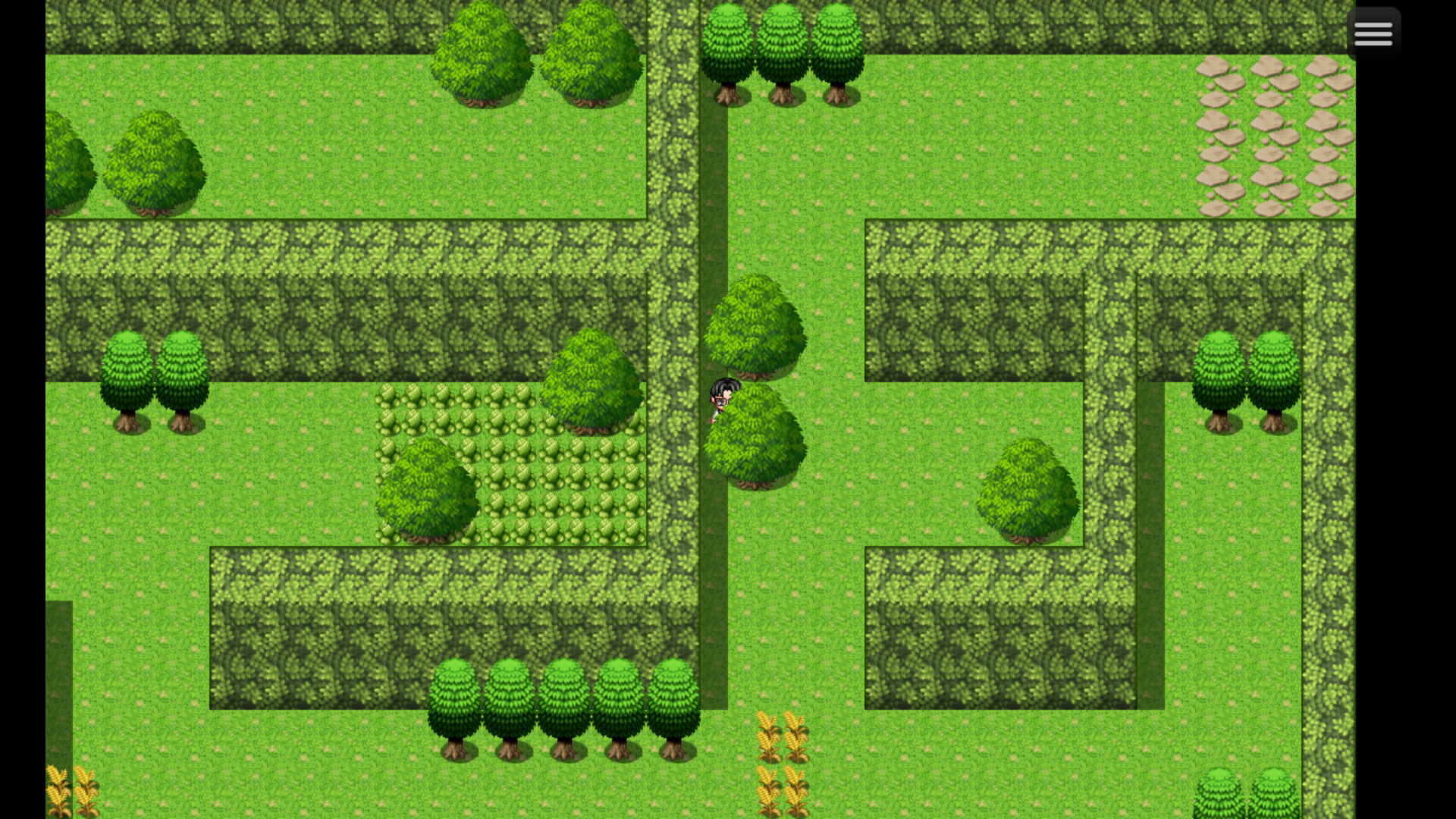 Oak Adventure the Maze - Screenshot 4