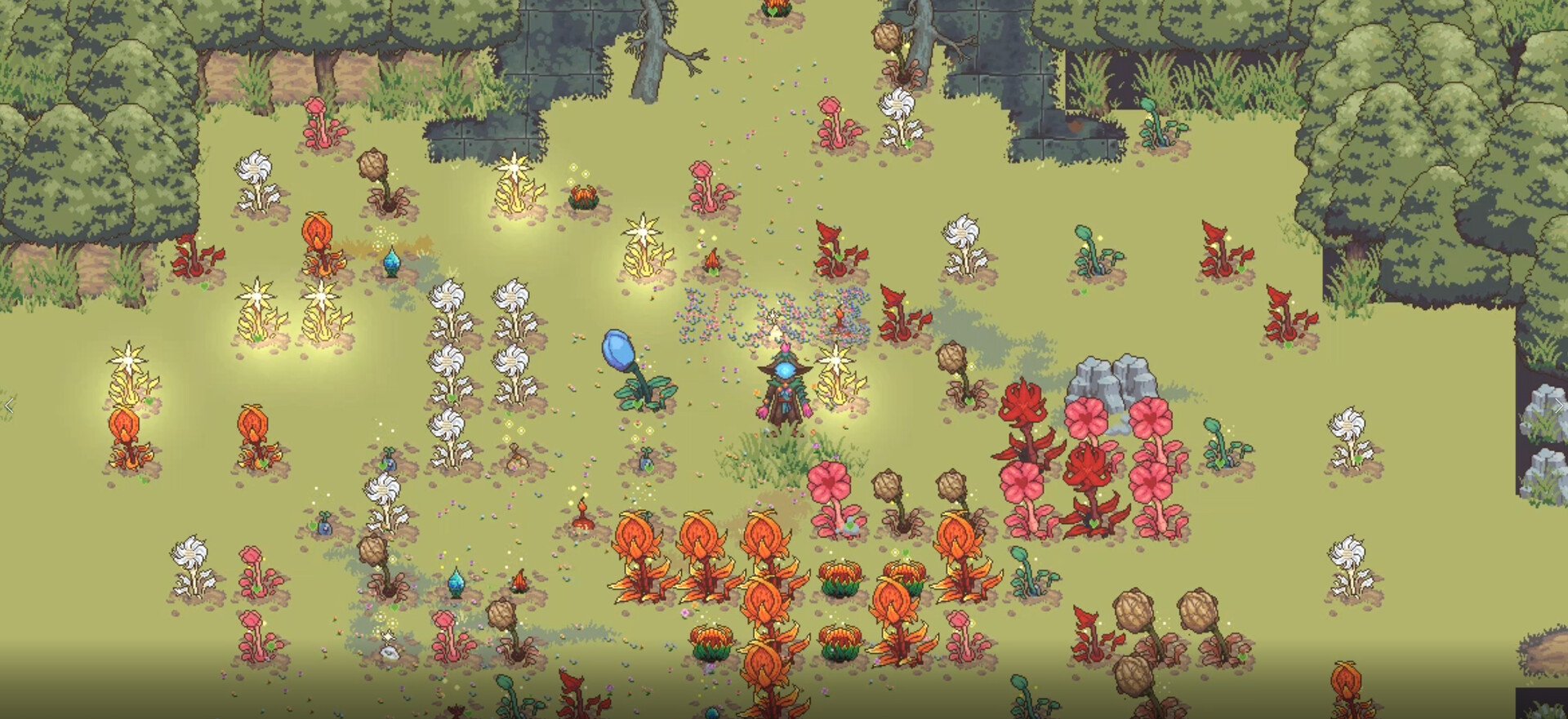 FloraMancer: Seeds and Spells - Screenshot 4