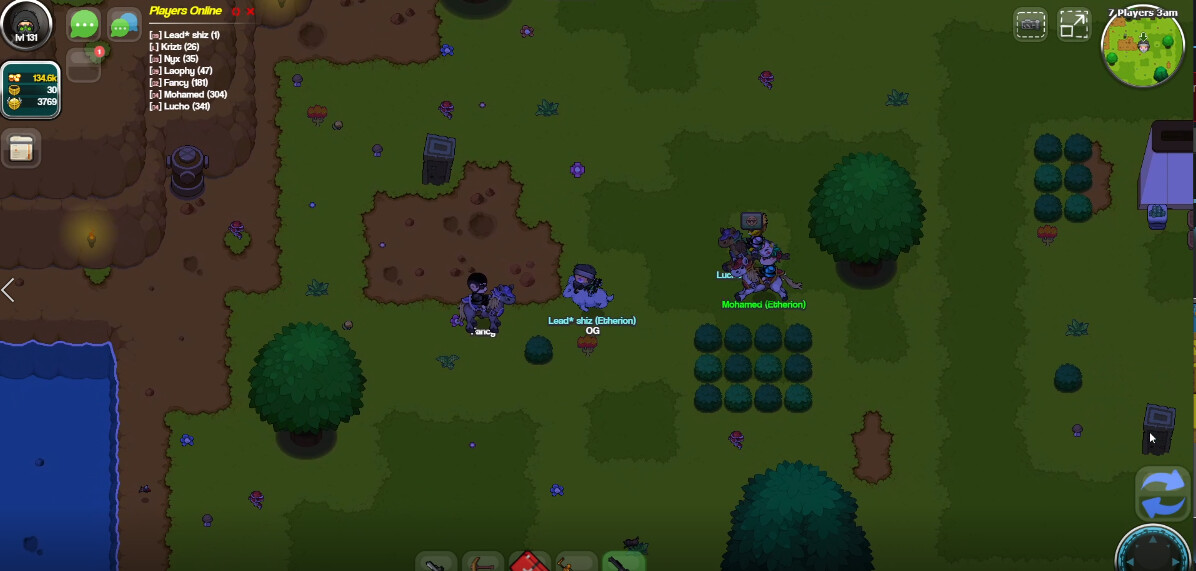 Etherion Online - Screenshot 4