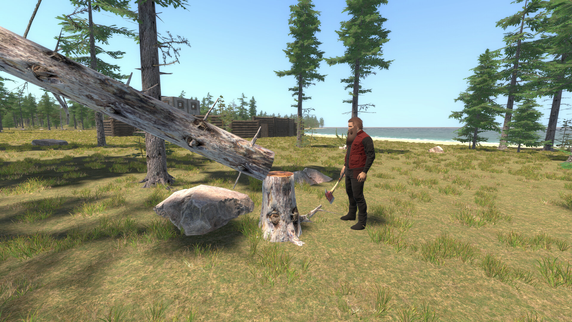 Citadel Anew - Screenshot 9