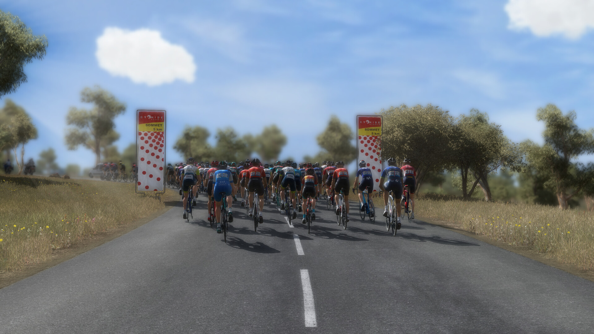 Pro Cycling Manager 2018 Gameplay (PC HD) 