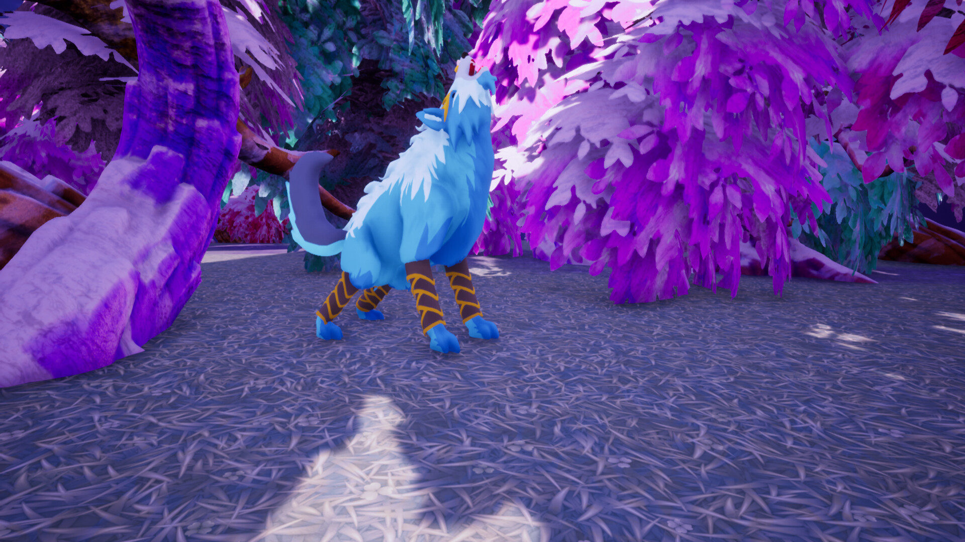 Magia Story - Screenshot 1