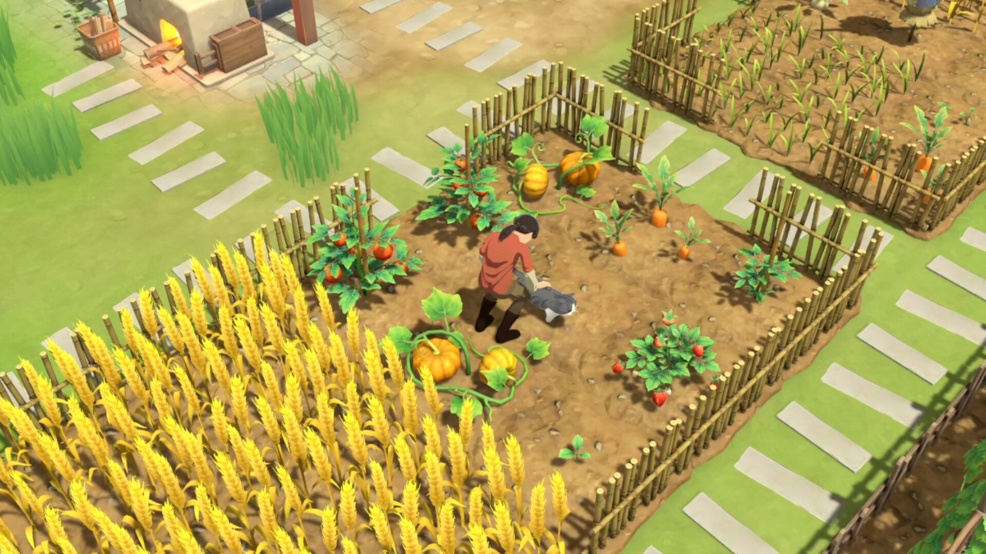 Litchi Town - Screenshot 4