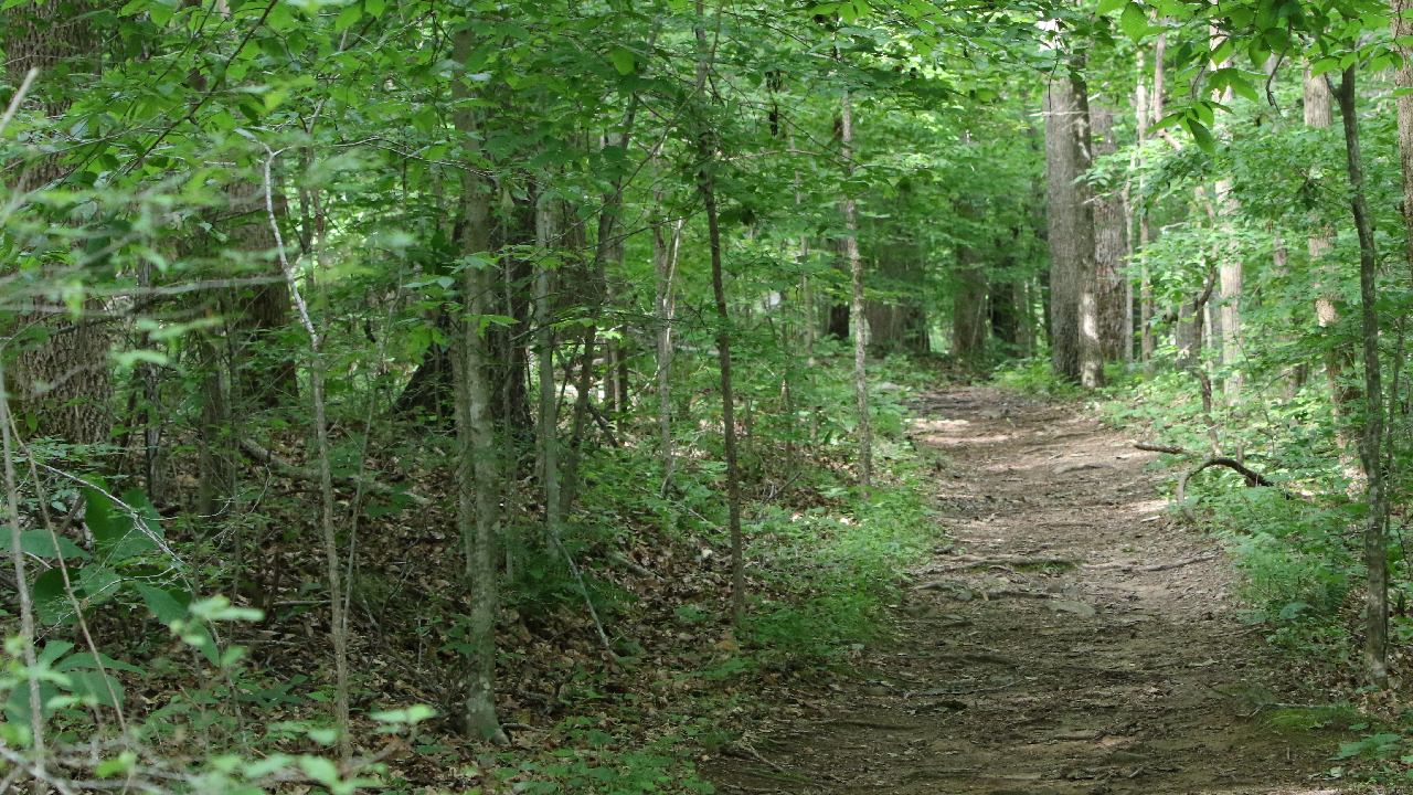 Two of Swords - Screenshot 1