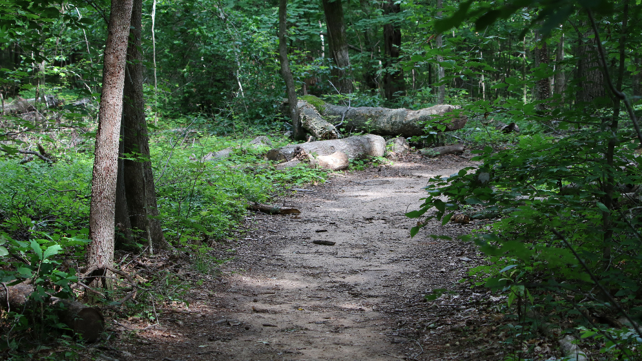 Two of Swords - Screenshot 2