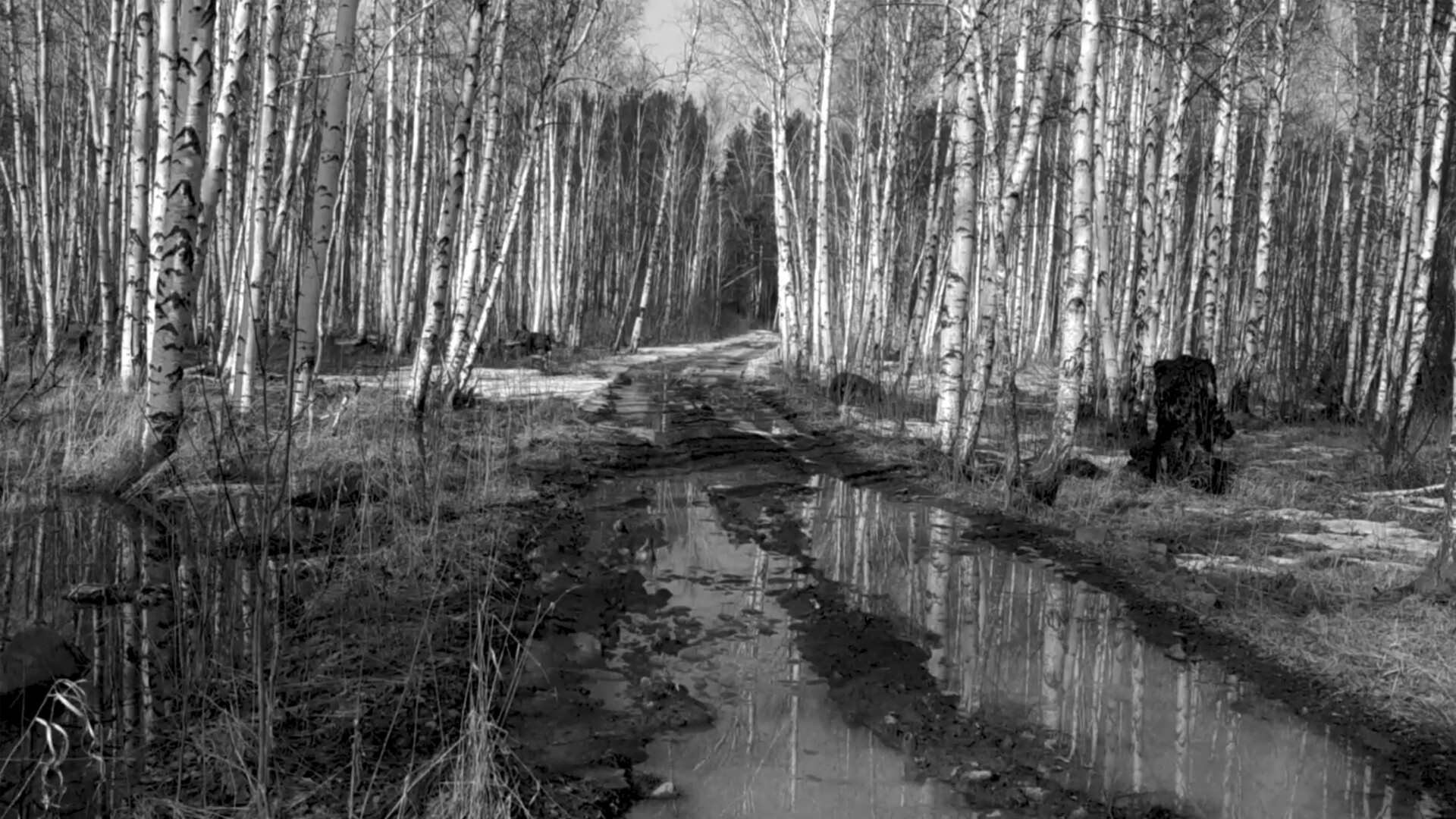 Russian Psychiatric Pastoral - Screenshot 6