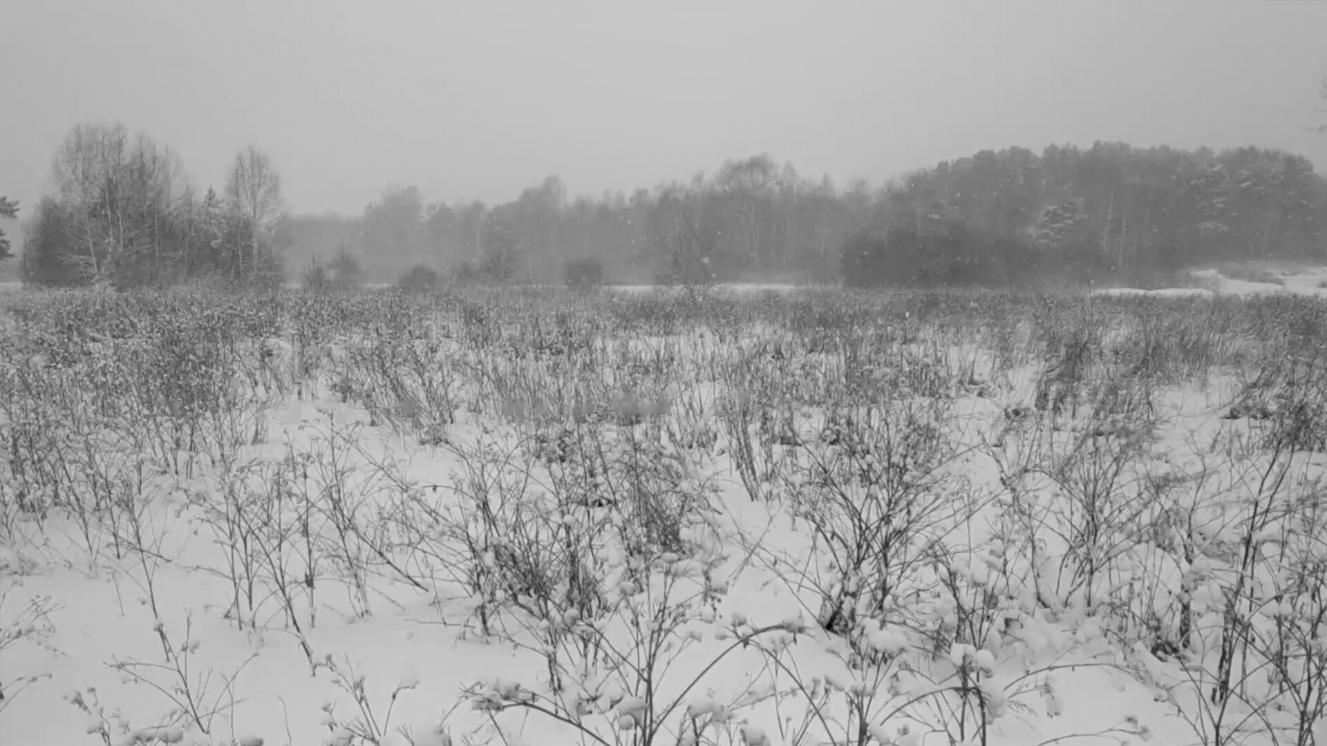 Russian Psychiatric Pastoral - Screenshot 4