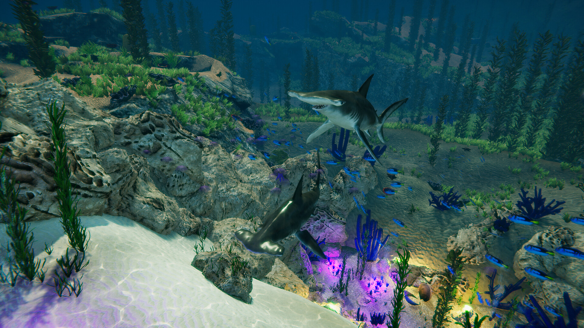 Blue Epic - Screenshot 6