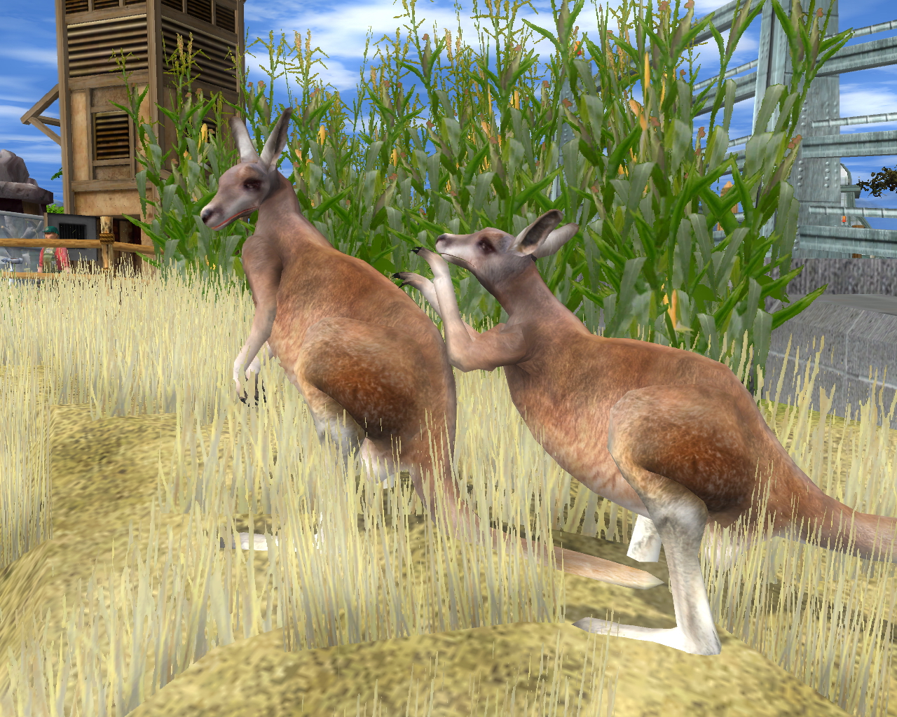 Game Background
