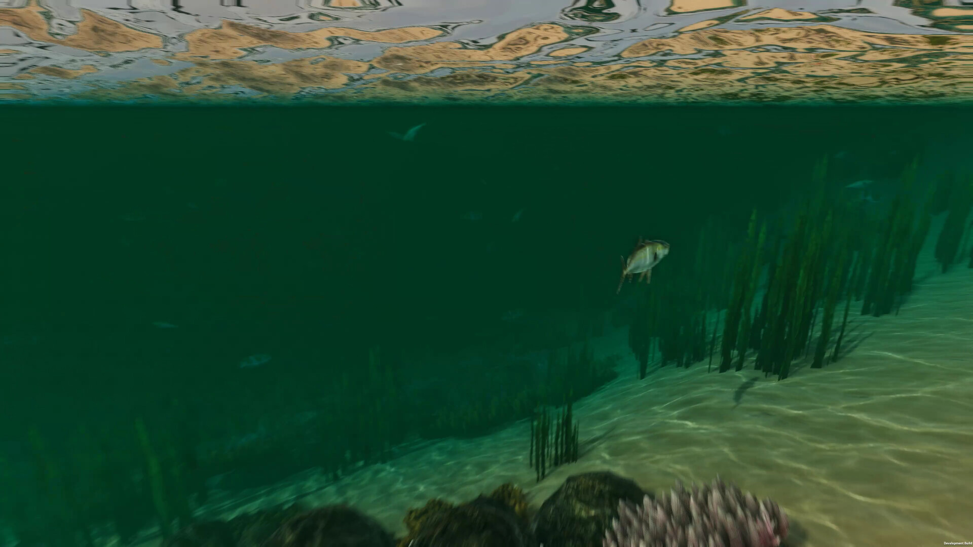 Island Notes - Screenshot 12