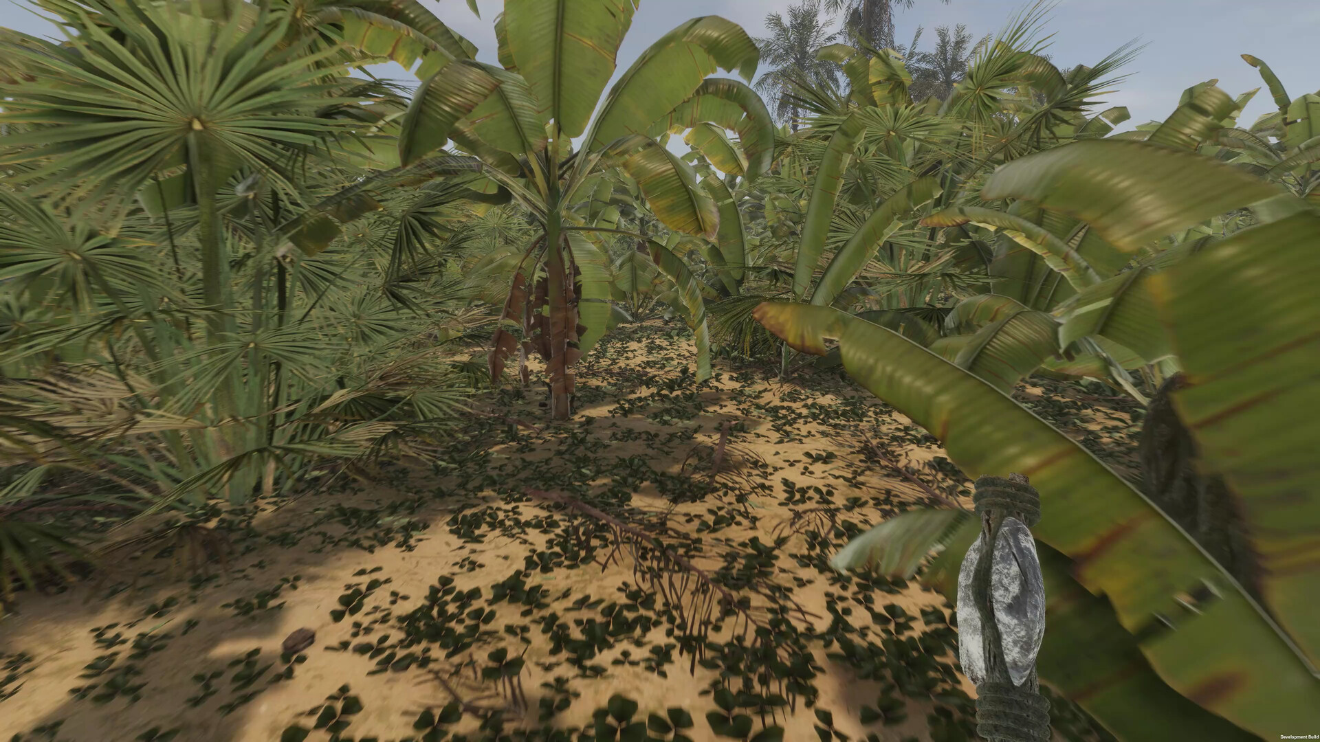 Island Notes - Screenshot 6