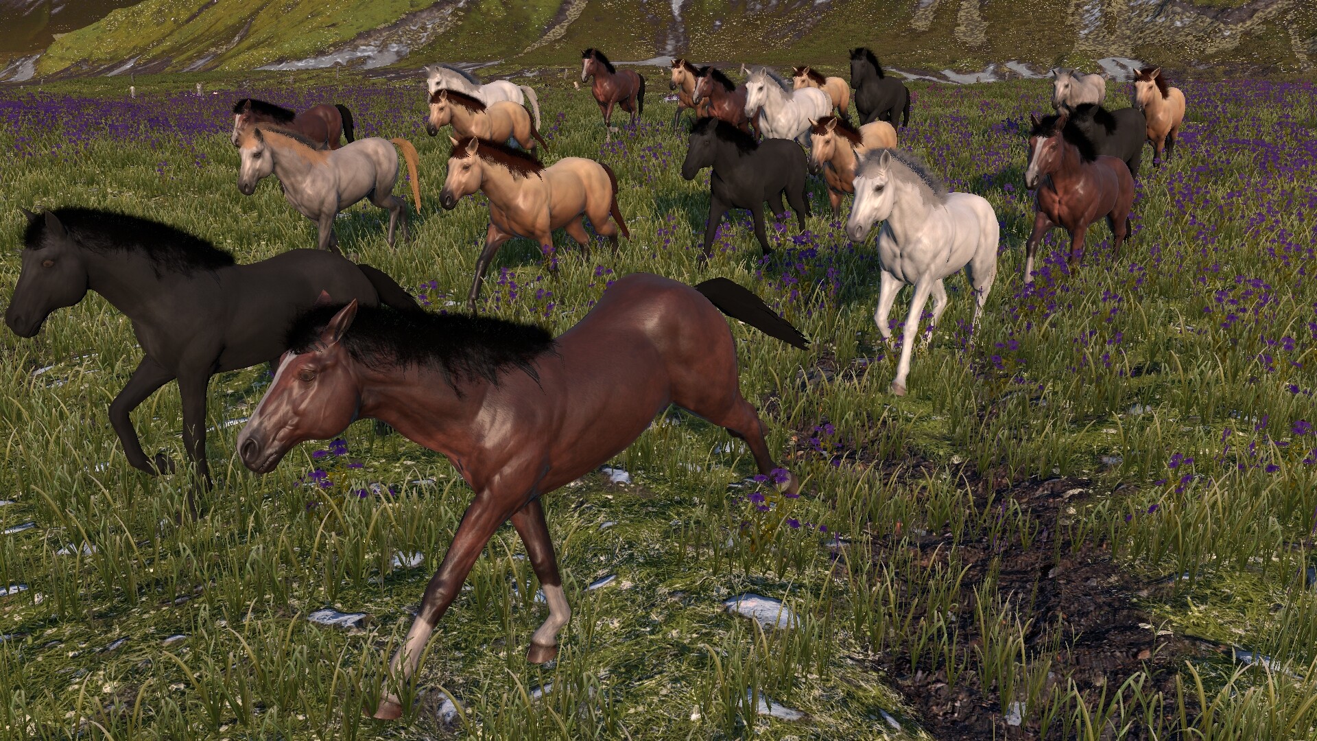 Horse Life: Find Horses in Open World, Survive in Wild Nature as a Foal or Pony - Screenshot 2