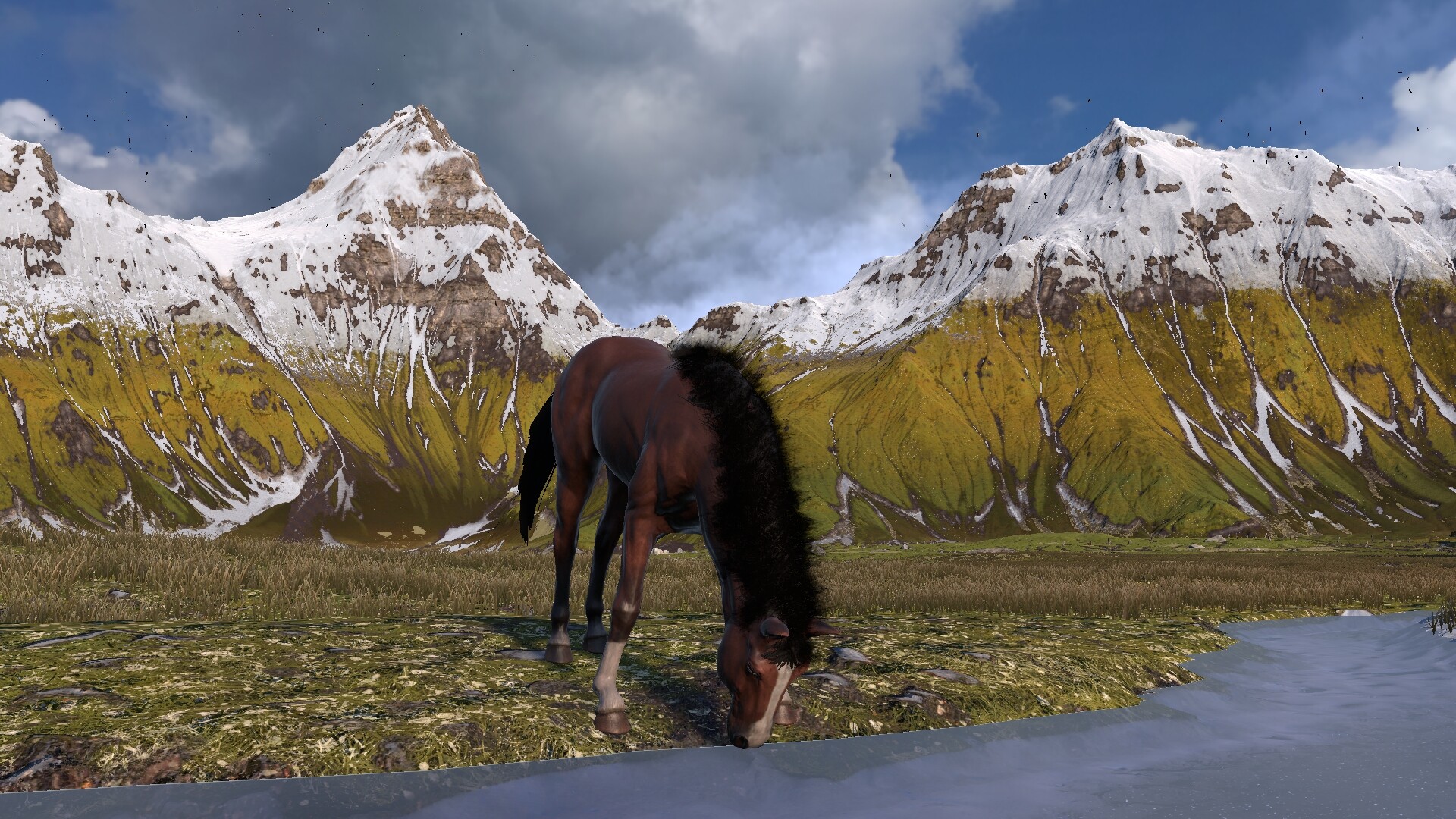 Horse Life: Find Horses in Open World, Survive in Wild Nature as a Foal or Pony - Screenshot 10
