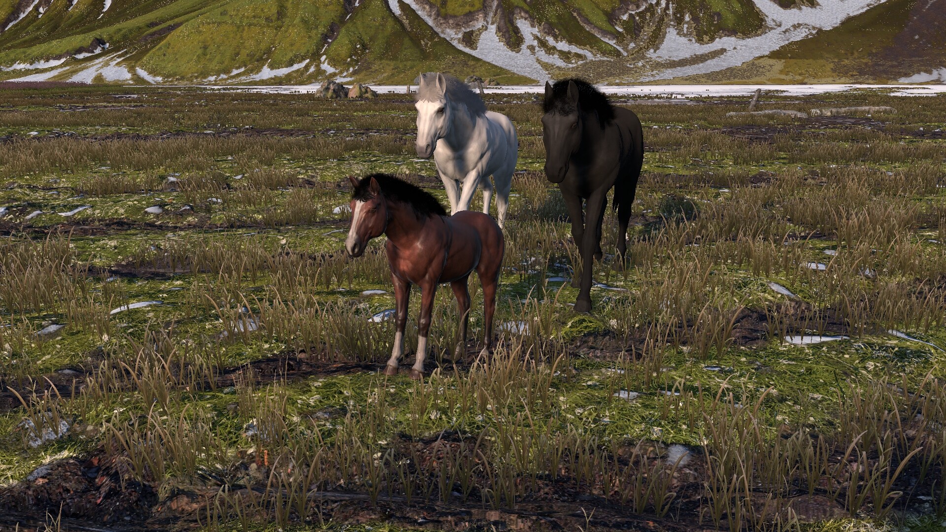 Horse Life: Find Horses in Open World, Survive in Wild Nature as a Foal or Pony - Screenshot 4