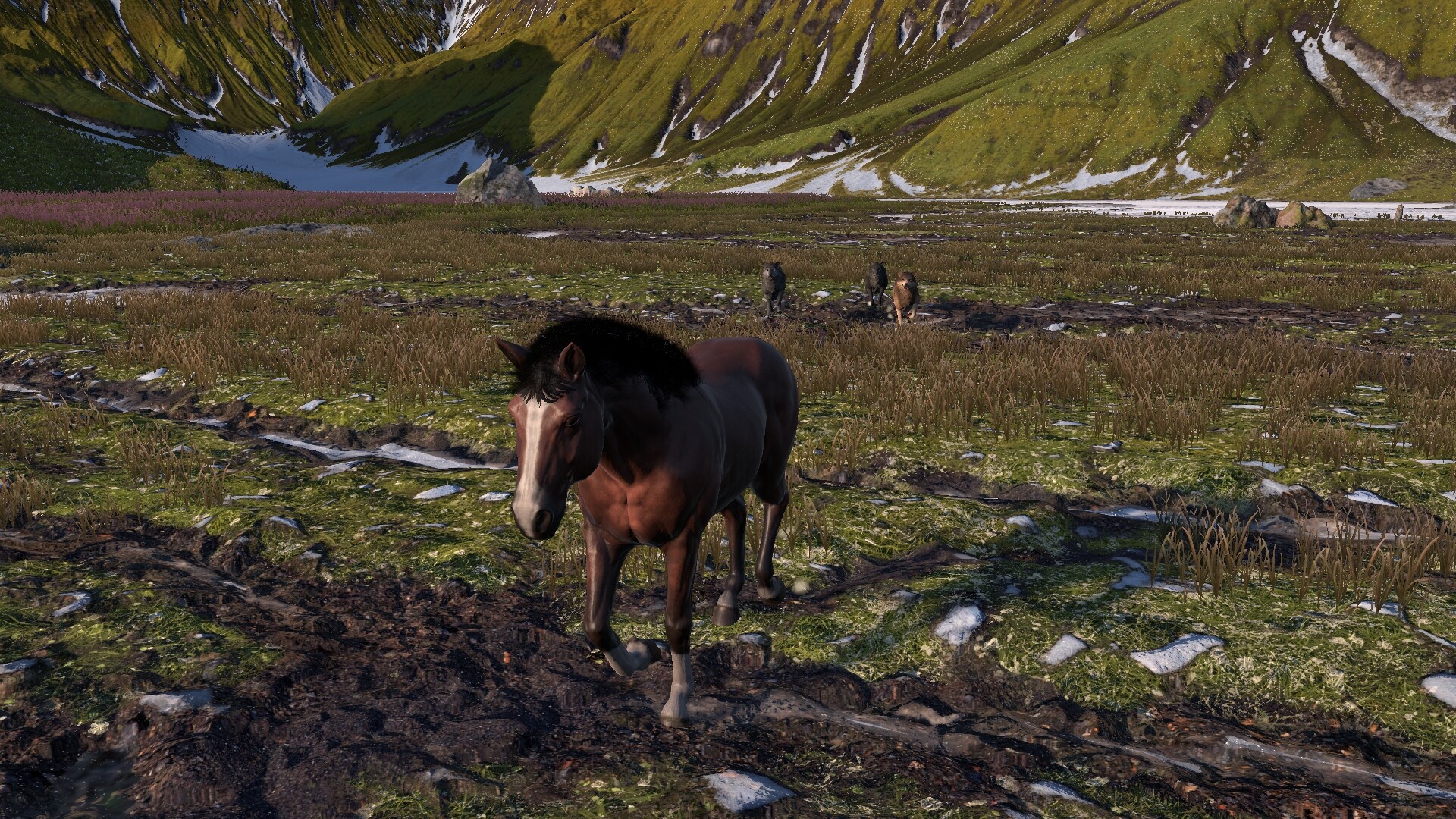 Horse Life: Find Horses in Open World, Survive in Wild Nature as a Foal or Pony - Screenshot 8