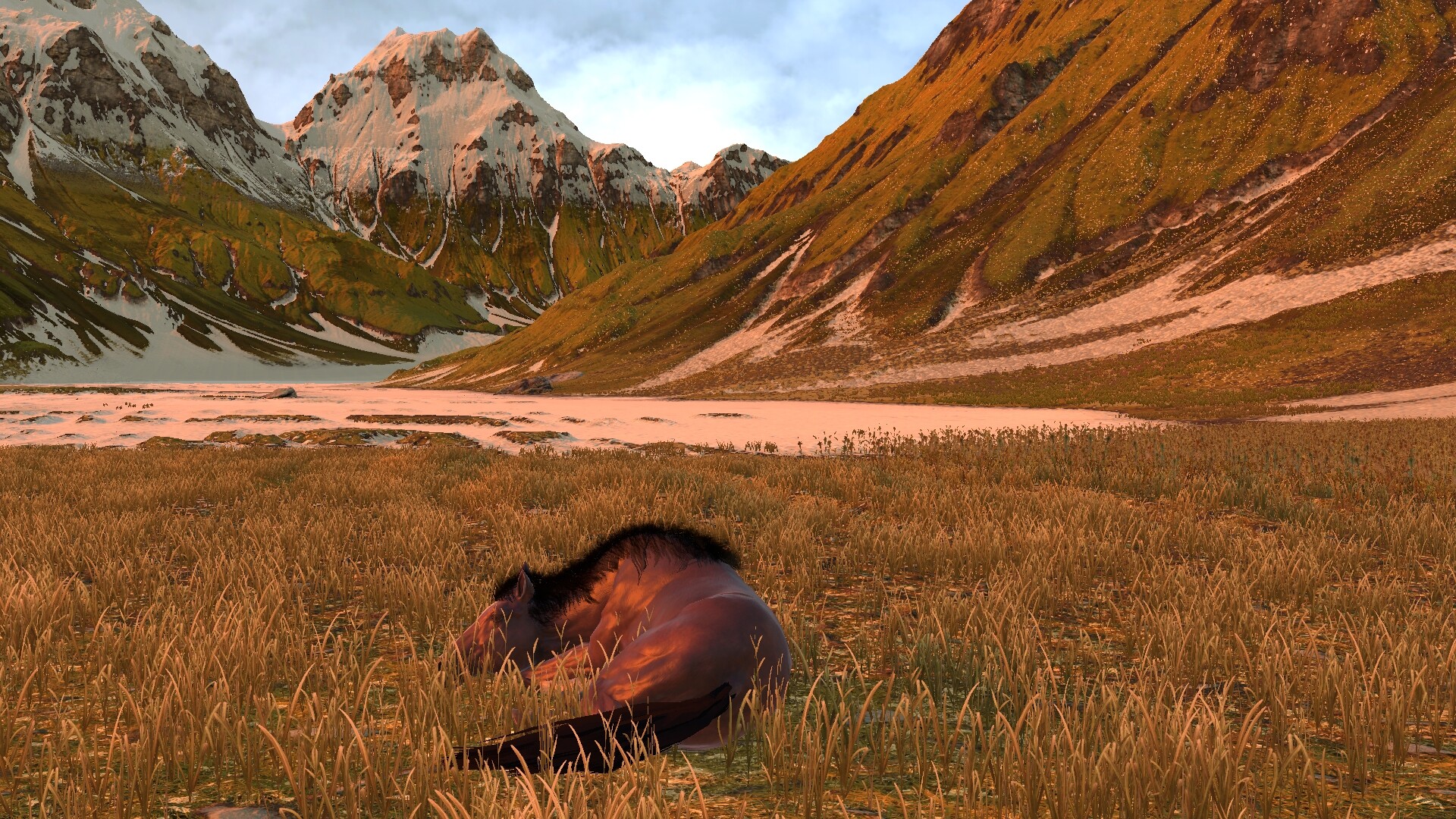 Horse Life: Find Horses in Open World, Survive in Wild Nature as a Foal or Pony - Screenshot 5