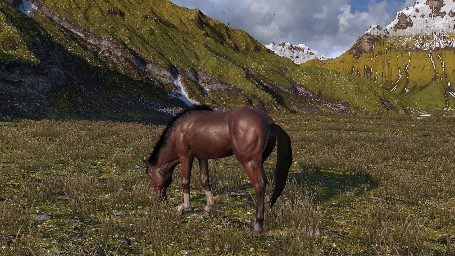 Horse Life: Find Horses in Open World, Survive in Wild Nature as a Foal or Pony - Screenshot 12