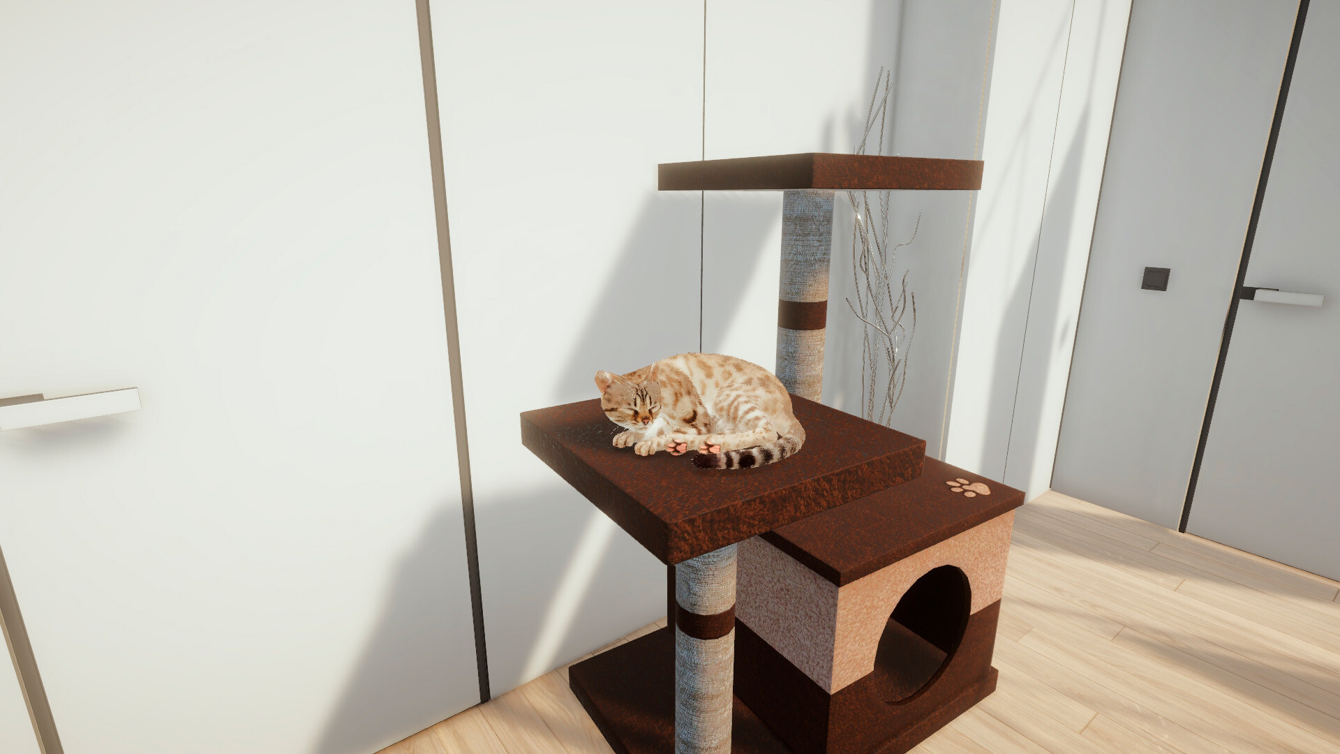 Cats Game - Screenshot 7