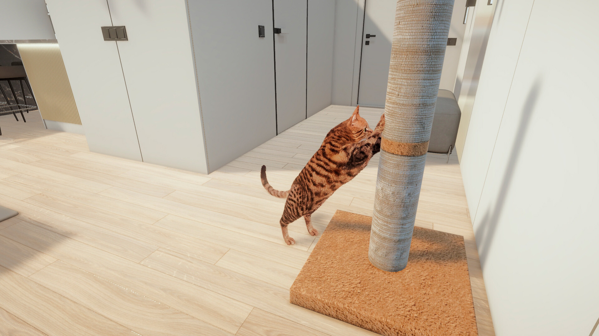 Cats Game - Screenshot 8