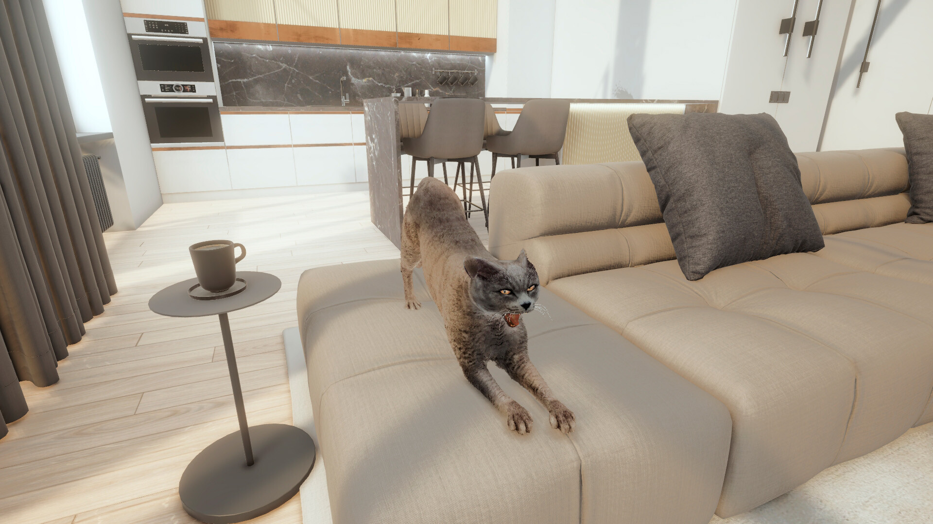 Cats Game - Screenshot 1